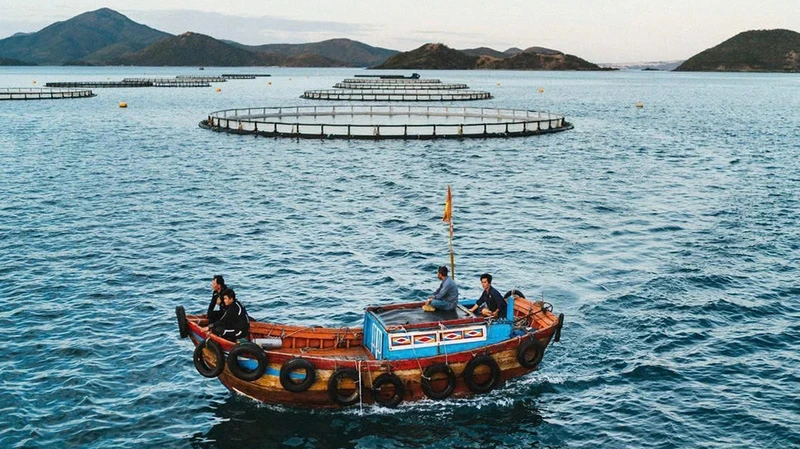 La zone d'élevage des produits aquatiques en technologie avancée dans les eaux profondes de la Sarl Australis Vietnam, située dans la baie de Vân Phong, province de Khanh Hoa. Photo : nhandan.vn