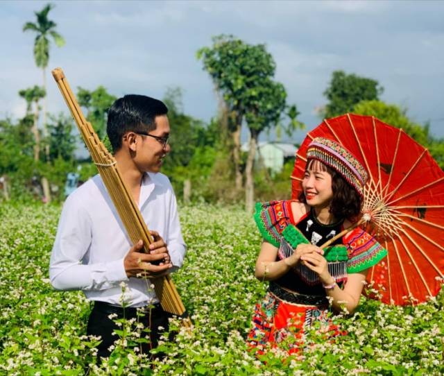 Chanthaphone Kittilat dans le jardin de fleurs de sarrasin au village de Cà Ban. Photo: thoidai.com.vn