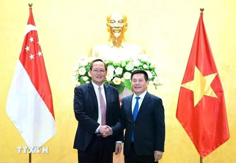 Le ministre vietnamien de l'Industrie et du Commerce, Nguyen Hong Dien (à droite) s'entretient avec le ministre singapourien de l'Industrie et du Commerce, Tan See Leng, sur l'élargissement de la coopération économique, commerciale et énergétique en mars 2024. Photo : Tran Viet/VNA.