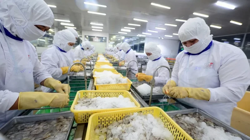 Le secteur de la pêche a besoin d’un nouvel élan de croissance face à de nombreux défis. Photo: congthuong.vn