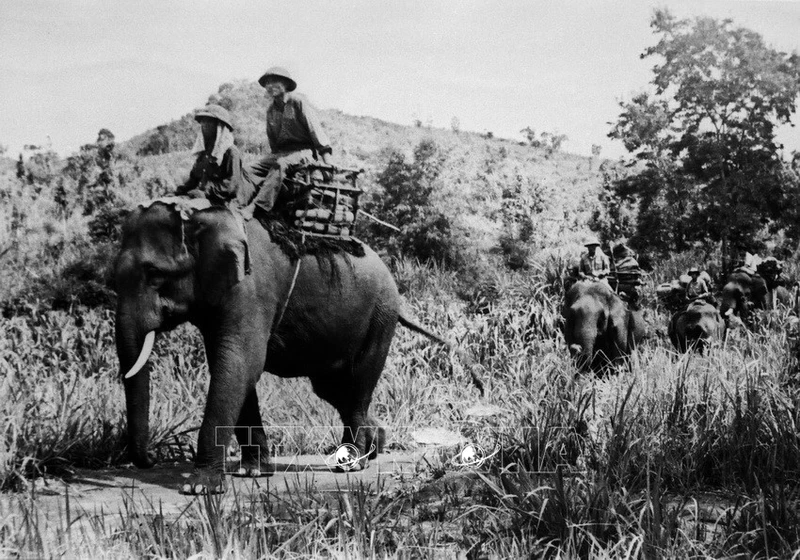 [Photos] La campagne de Tây Nguyên (4 mars – 24 mars 1975) 