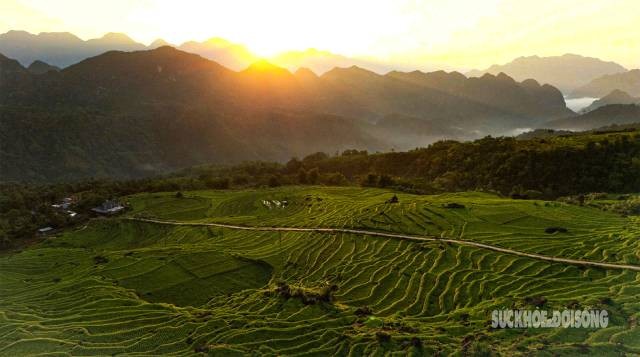 Des rizières à Pu Luong. Photo : suckhoedoisong.vn
