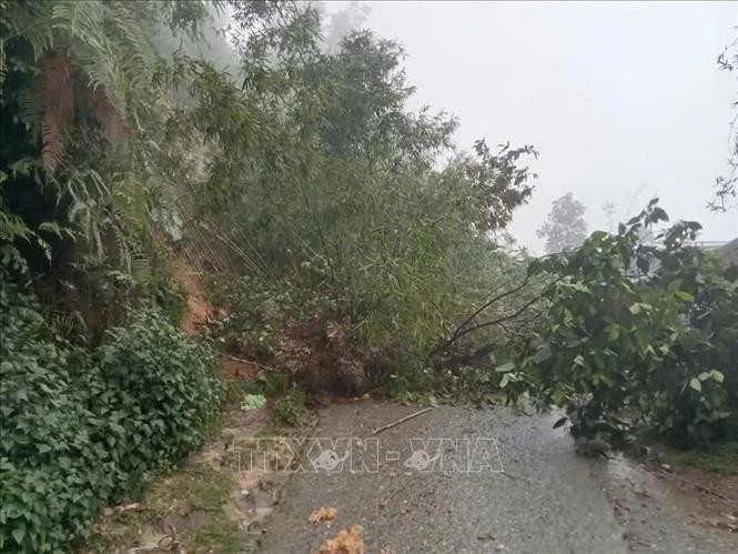 Le gouvernement vietnamien mobilisé face aux risques de catastrophes naturelles dans le Nord. Photo : VNA. 