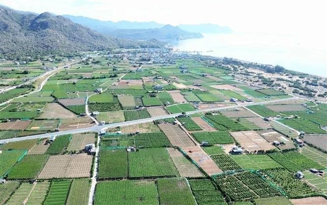 Le projet de centrale nucléaire de Ninh Thuân 2 devrait être construit dans le hameau de Thai An, commune de Vinh Hai, district de Ninh Hai. Photo : VNA