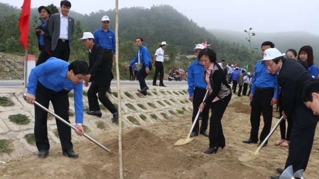 Les délégués et membres de l'UJC plantent des arbres dans la province de Quang Binh (au Centre). Photo: VOV.