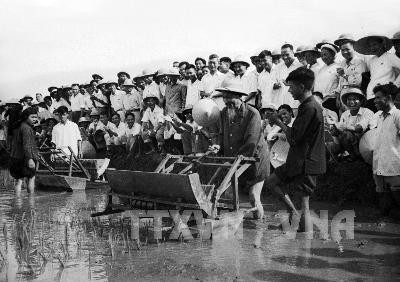 Le Président Hô Chi Minh utilise la repiqueuse au centre de la production expérimentale des variétés de riz à Hanoi. Photo d'archives: VNA.