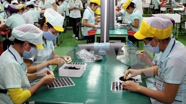 Le Vietnam possède de grands atouts sur le marché mondial de technologies de l’information. Photo: VNA.