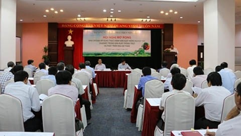 Conférence sur la culture et le développement du maraîchage, le 24 novembre, à Hô Chi Minh-Ville. Photo: Truong Giang/CVN.