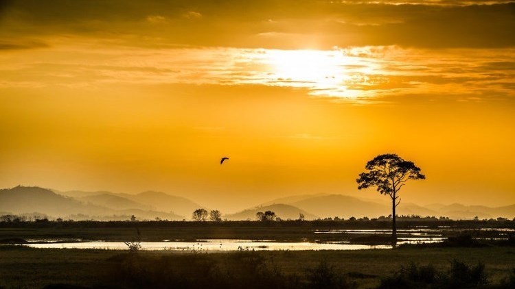 L'image d'un beau Vietnam paisible. Photo: Réhahn Croquevielle.