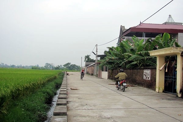 Dans le district de Yên Lac. Photo: VOV.