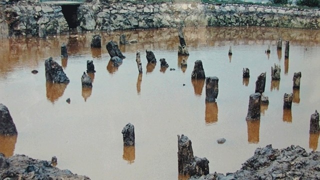 Les vestiges du champ de pieux de la bataille de Bach Dang. Photo: NDEL. 