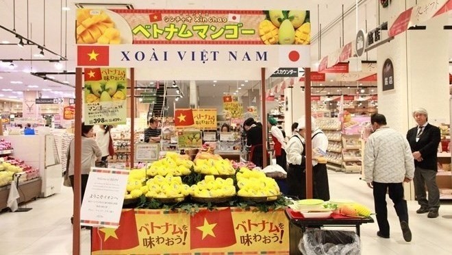 La mangue de Cat Chu du Vietnam se vend dans un supermarché au Japon. Photo: VNA.