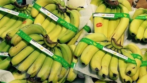 Environ 15 tonnes de bananes ont été exportées par la Société Huy Long An au Japon. Photo: VNA.