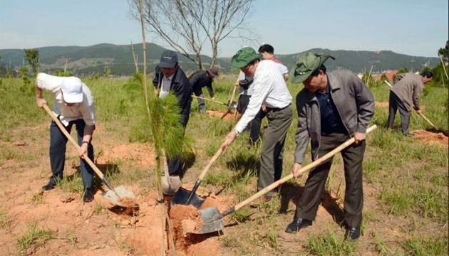 Les autorités et le peuple de la province de Lâm Dông participent au mouvement de plantation d'arbres. Photo: NDEL.