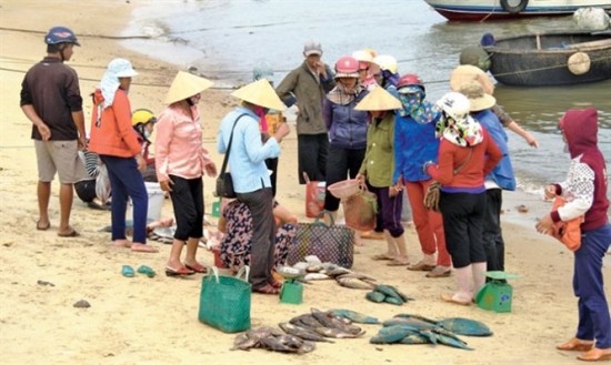  Les pêcheurs endommagés par Formosa bénéficieront de l'assistance de la province. Photo: bienphong.com.vn.