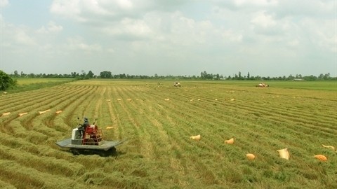 Le programme met l'accent sur la résilience aux catastrophes naturelles, aux changements climatiques, etc. Photo: VNA.