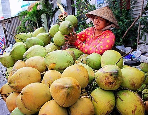 Noix de coco, un produit emblématique de Bên Tre (au Sud). Photo: VNA.