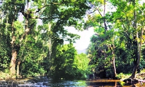 La beauté sauvage du parc national de Pu Mat. Photo: VNP.
