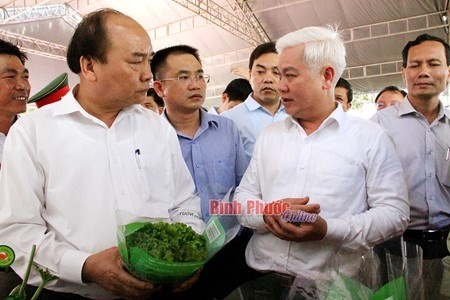 Le PM Nguyên Xuân Phuc (à gauche) discute avec le secrétaire du Comité du Parti de la province pour Binh Phuoc, Nguyên Van Loi, sur le développement de l’agriculture high-tech dans cette localité. Photo: baobinhphuoc.