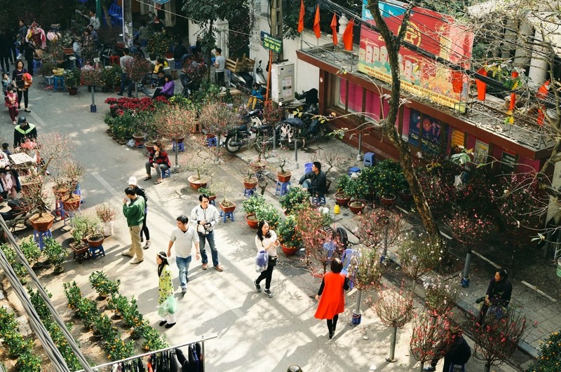 Les gens font une promenade dans les marchés aux fleurs dans le but de chercher un kumquat ou un pêcher pour la décoration de la maison, voire seulement pour ressentir l’atmosphère printanière.