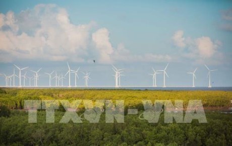 Bac Lieu possède de grands potentiels en termes d'énergie éolienne. Photo: VNA.