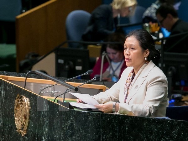 L’ambassadrice Nguyên Phuong Nga. Photo : VNA