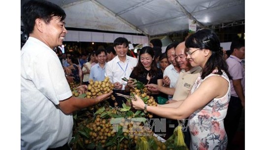 La fête du longane à Hung Yên. Photo: VNA.