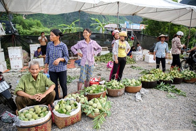 Le marché des pommes cannelles à Lang Son. Photo: http://toquoc.vn.