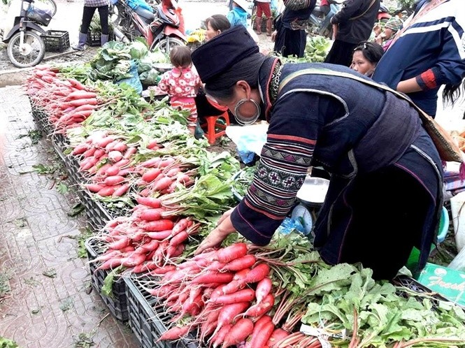 La couleur des radis rouges donne une couleur originale au marché de Sa Pa. Photo: http://nongnghiep.vn.