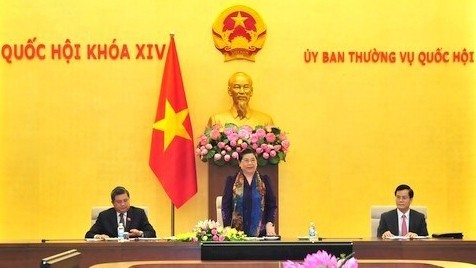 La Vice-Présidente permanente de l’Assemblée nationale du Vietnam, Tong Thi Phong. Photo : VOV.