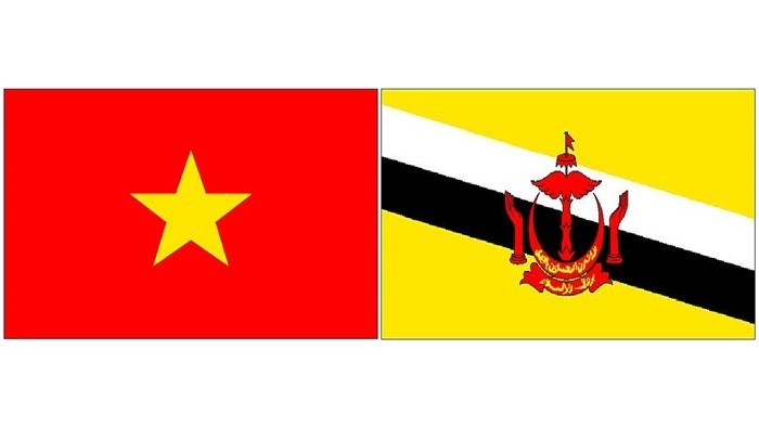 Les drapeaux du Vietnam et du Brunei. Photo : NDEL.