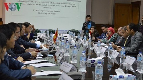 La première session de la sous-commission de la technique, du commerce et de l’industrie Vietnam-Égypte, le 22 avril au Caire. Photo : VOV.