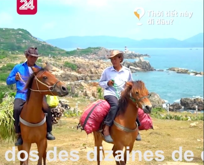 Voyage à Phu Yên, terroir  des chevaux de course