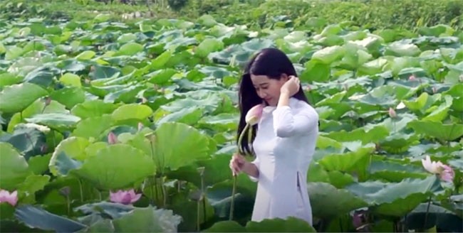 Les Hanoïens passionnés avec la prise de photo au milieu des fleurs de lotus au lac de l’Ouest