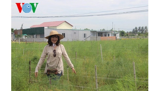 Trinh Thuy Lan à Ninh Thuân. Photo : Thuy Linh/VOV