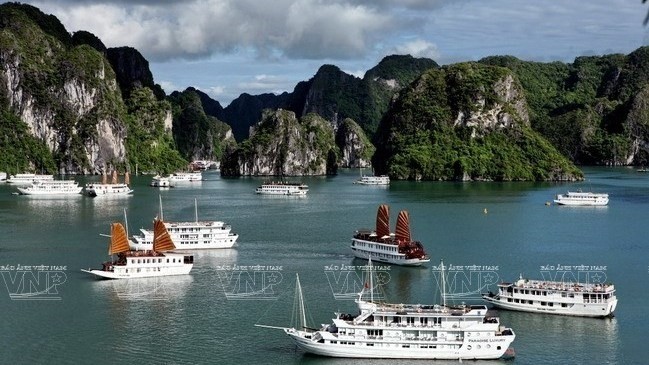 La baie de Ha Long, patrimoine mondial de l’UNESCO, est l’une des principales attractions du Vietnam et présente dans toutes les brochures et circuits organisés. Photo : VNA.