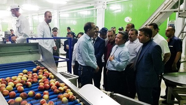 La délégation de l’Ambassade du Vietnam en Algérie visite la société ECD Foods. Photo : VNA 