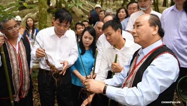  Le PM Nguyên Xuân Phuc en visite dans le projet de culture de ginseng de Ngoc Linh, district de Tu Mo Rông, province de Kon Tum, le 5 septembre.Photo : VGP.