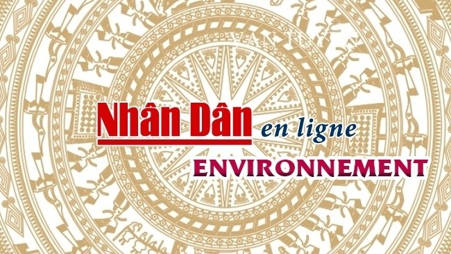 Bientôt le Forum de Hanoi sur l'amélioration de la résilience au changement climatique