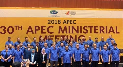 Les délégués de la 30e Conférence des ministres des Affaires étrangères et de l’Économie de l’APEC. Photo : VGP.