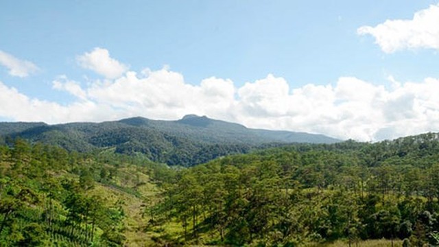 La réserve de la biosphère de Lang Biang à Lâm Dông  (sur les Hauts Plateaux du Centre). Photo : sggp.com.vn.