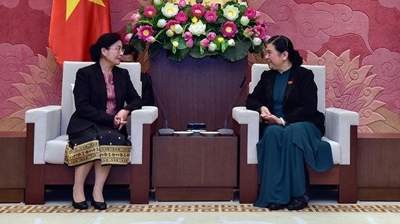 La vice-présidente de l’Assemblée nationale Tong Thi Phong (à droite) et la présidente de l’Audit d’État du Laos, Viengthong Siphandone. Photo : QDND