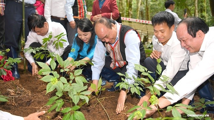 Le PM Nguyên Xuân Phuc visite le jardin du ginseng de Ngoc Linh. Photo: VGP.