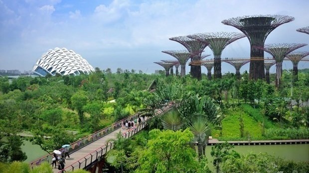 Un jardin à Singapour. Photo : eco-business.com.