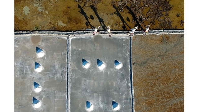 Photo du champ de sel de Hon Khoi publiée dans le journal Guardian. Photo : Yahya Arhab/EPA