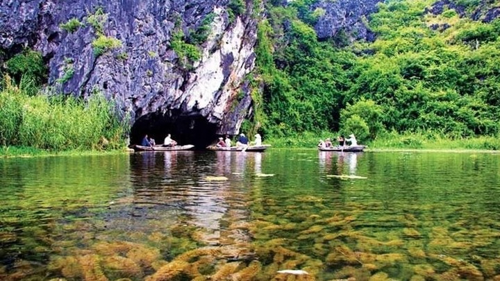 La réserve naturelle submergée de Vân Long est connue pour une très grande diversité dans sa faune et sa flore. Photo : VGP.