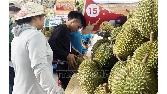 Des durians, spécialités du Sud présentés lors du Festival des fruits du Nam Bô. Photo : VNA.