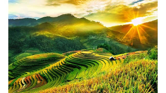 Les rizières en terrasse de Mù Cang Chai. Photo : https://dulich.petrotimes.vn/