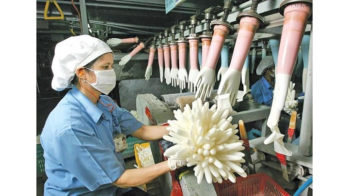 Mise en chantier d’une usine de production de gants médicaux à Dông Nai. Photo : baodautu.