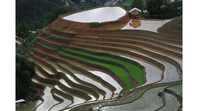Les rizières en terrasse de Mù Cang Chai figurent également dans la liste des destinations les plus belles au monde. Photo : VOV.